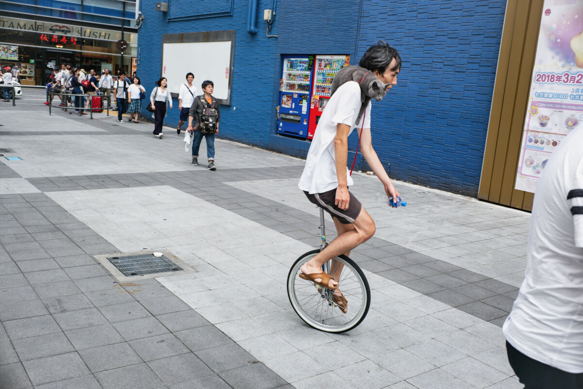A unicyclist in Tokyo with a cat on his shoulder