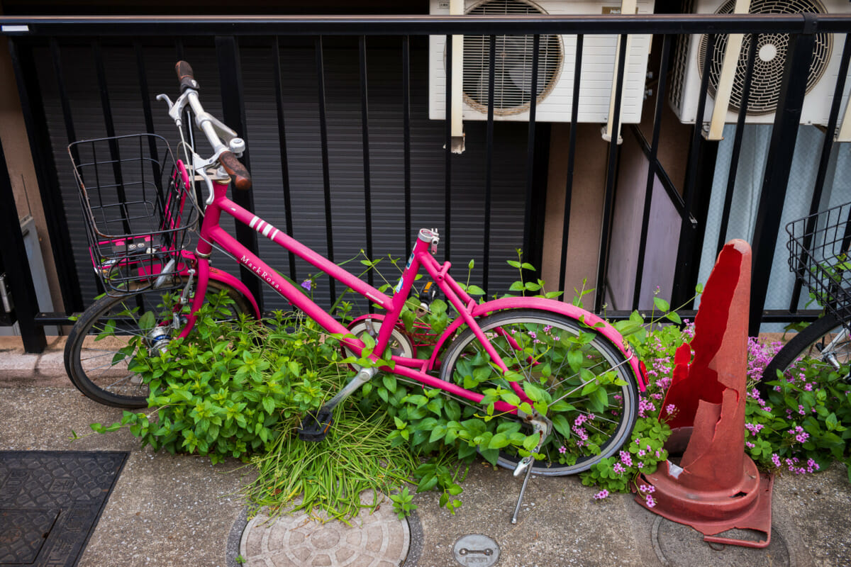 Abandoned and overgrown Tokyo bicycles