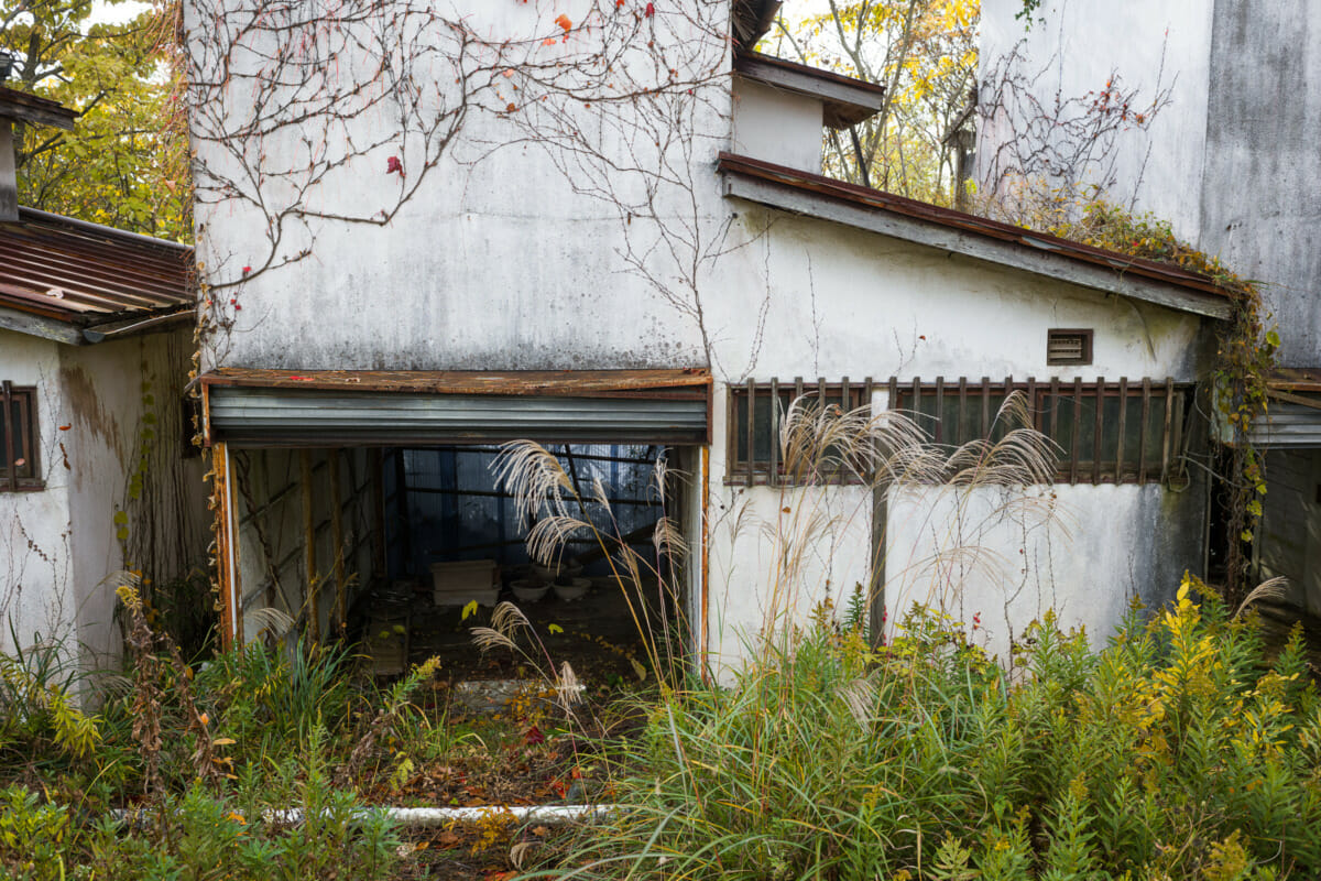 An overgrown and abandoned Japanese love hotel