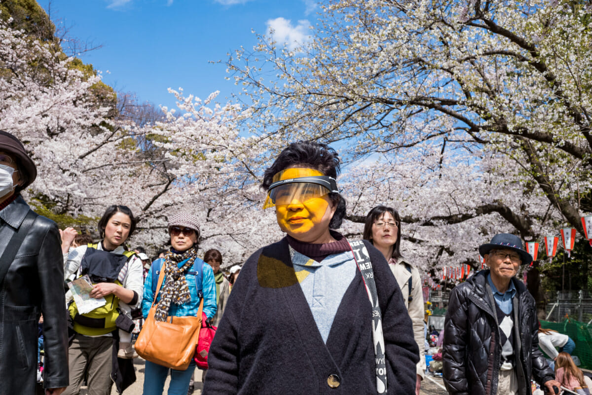 Tokyo cherry blossom through a yellow visor