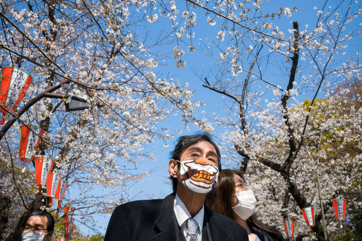 A boldly masked Tokyo salaryman under the blossoms