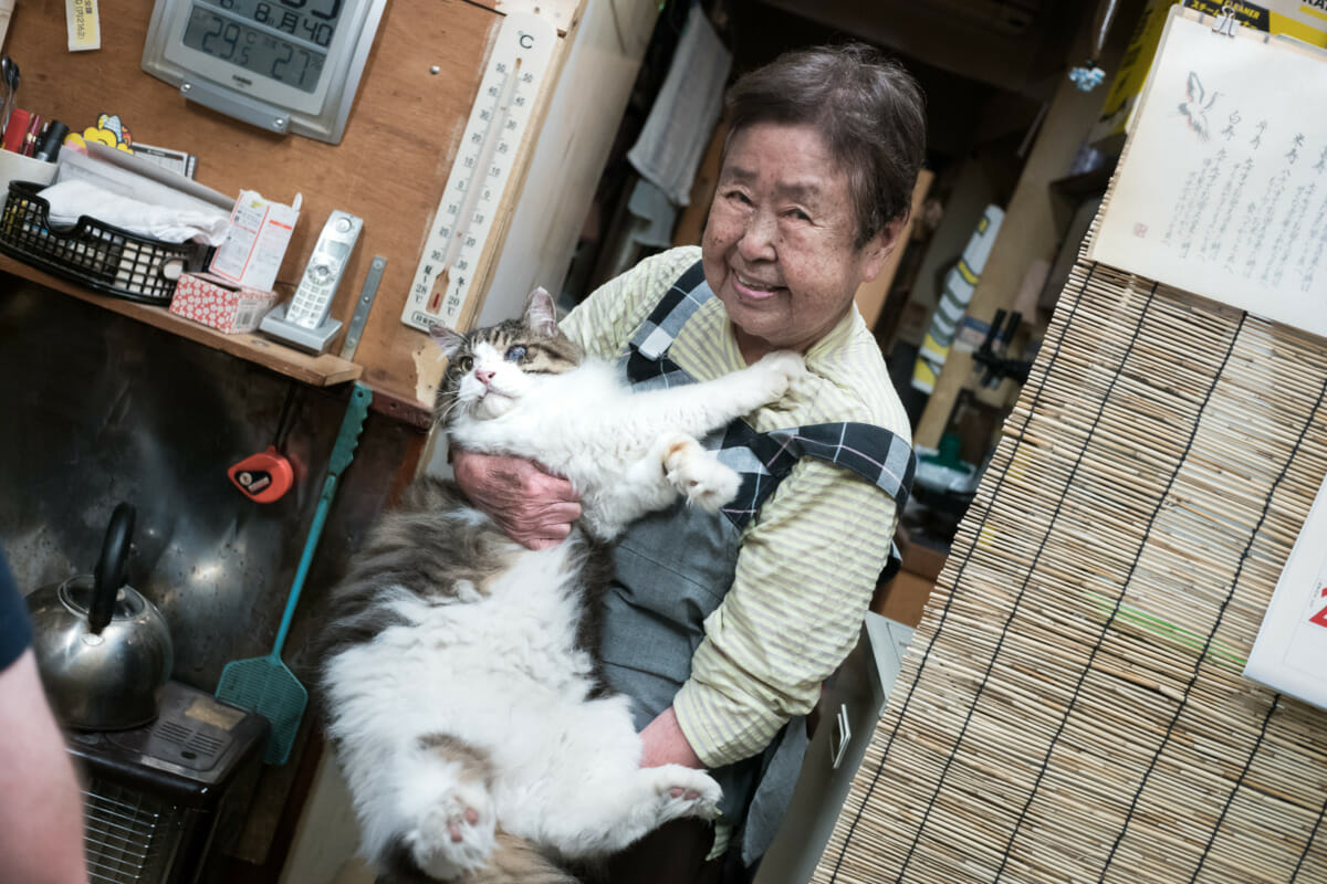 An elderly Tokyo bar owner and her enormous cat