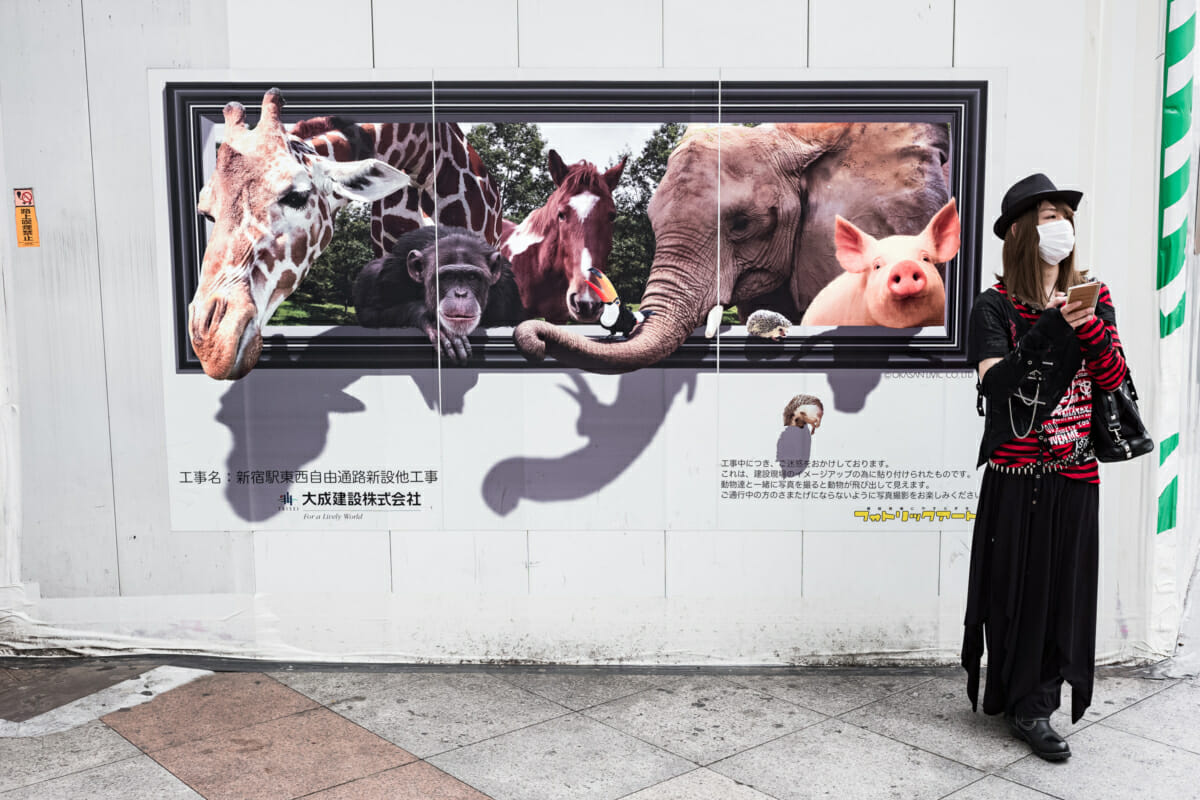 exotic animals on the streets of Tokyo