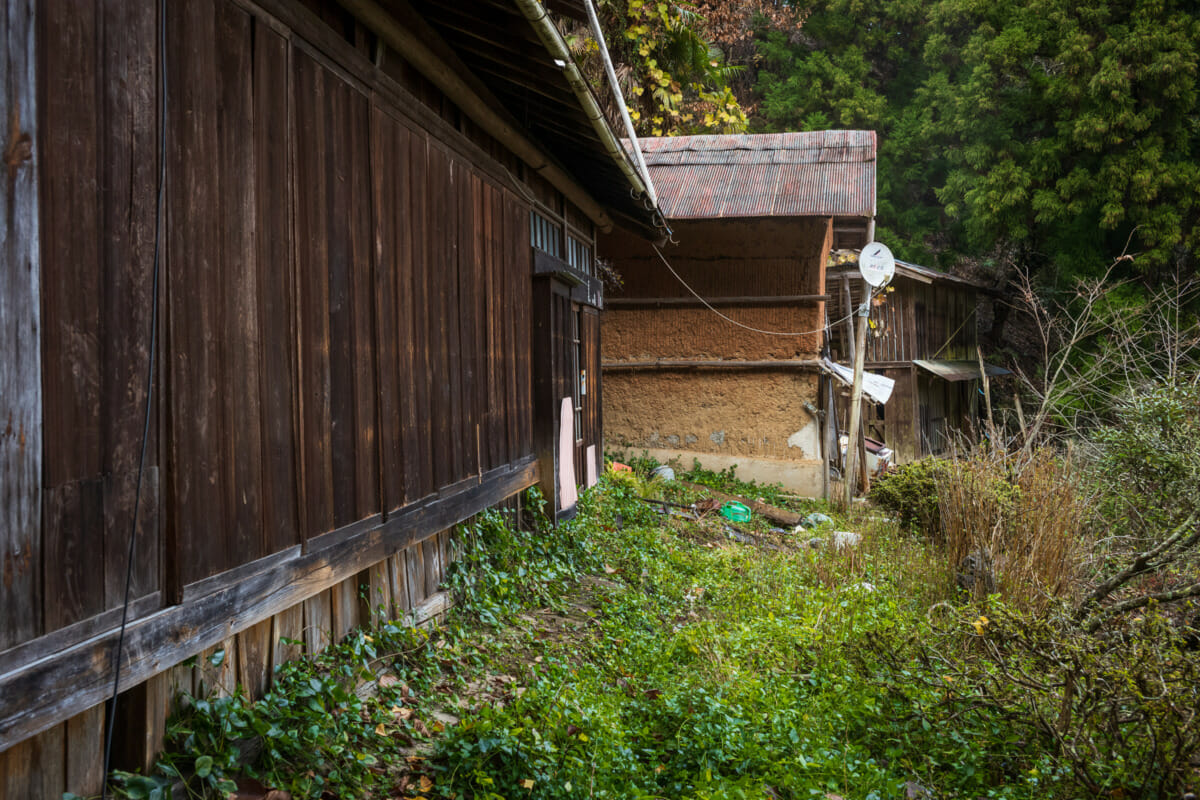 misty mountains and abandoned homes of Tokyo’s far west