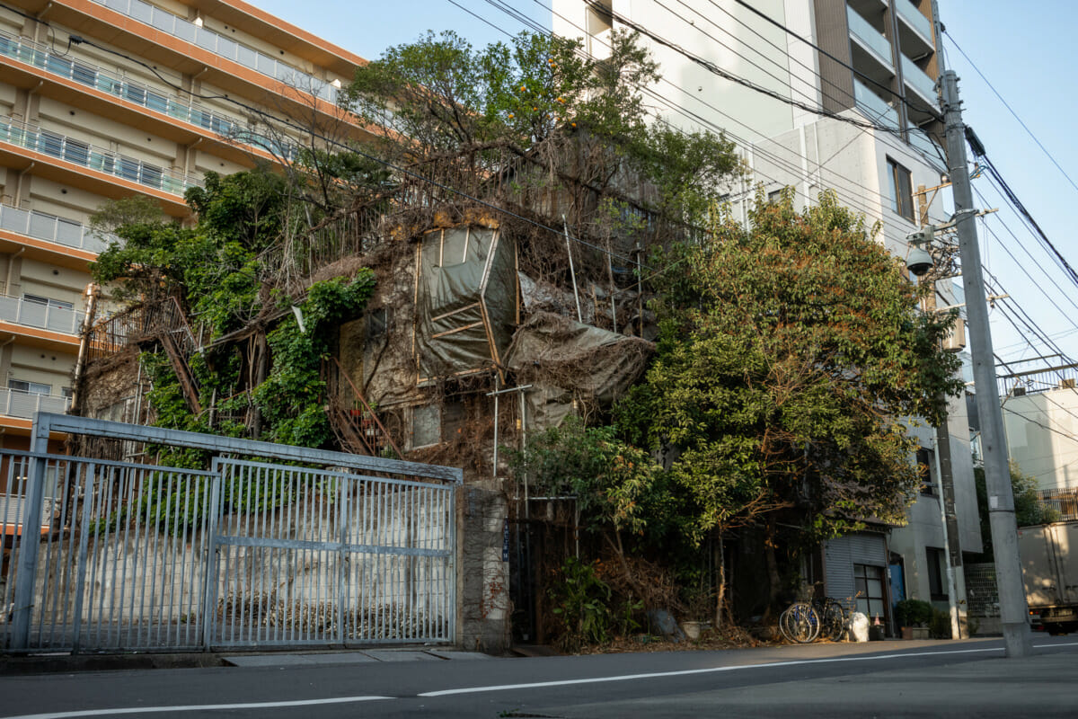 a crumbling and incredibly patched up old Tokyo hotel