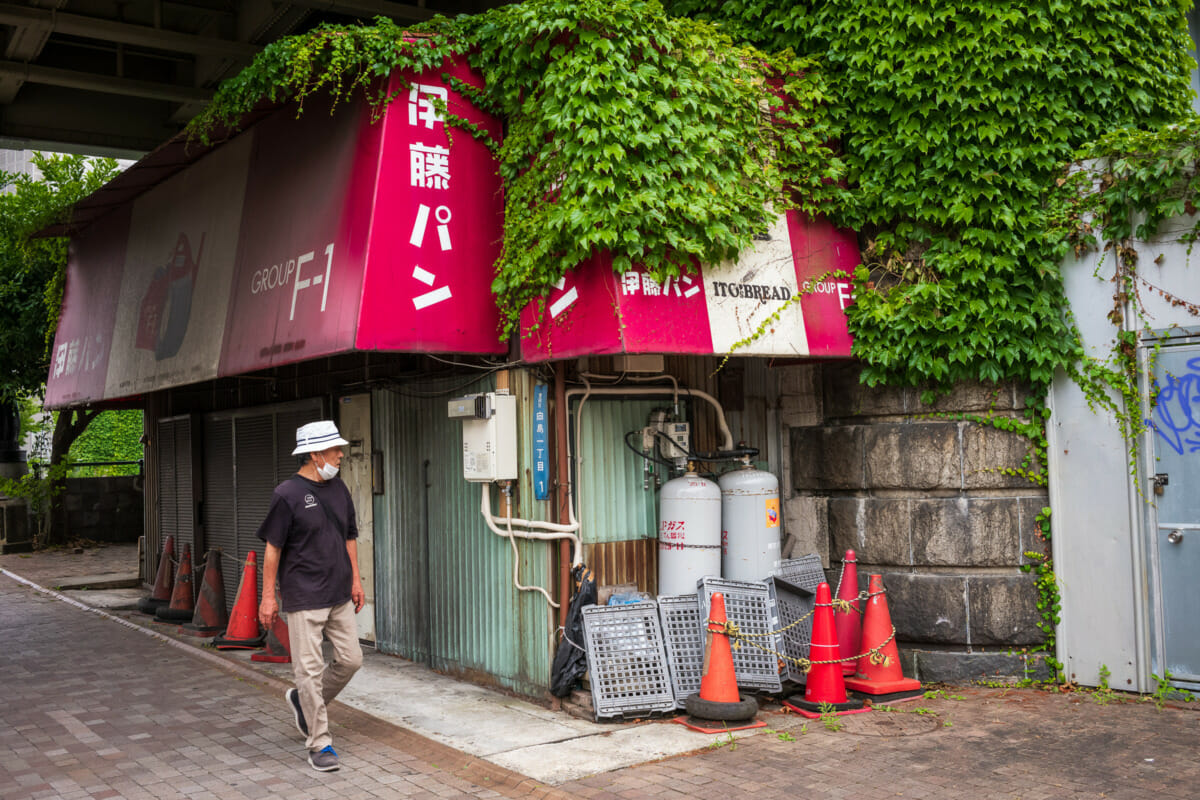 Beautifully overgrown Tokyo businesses