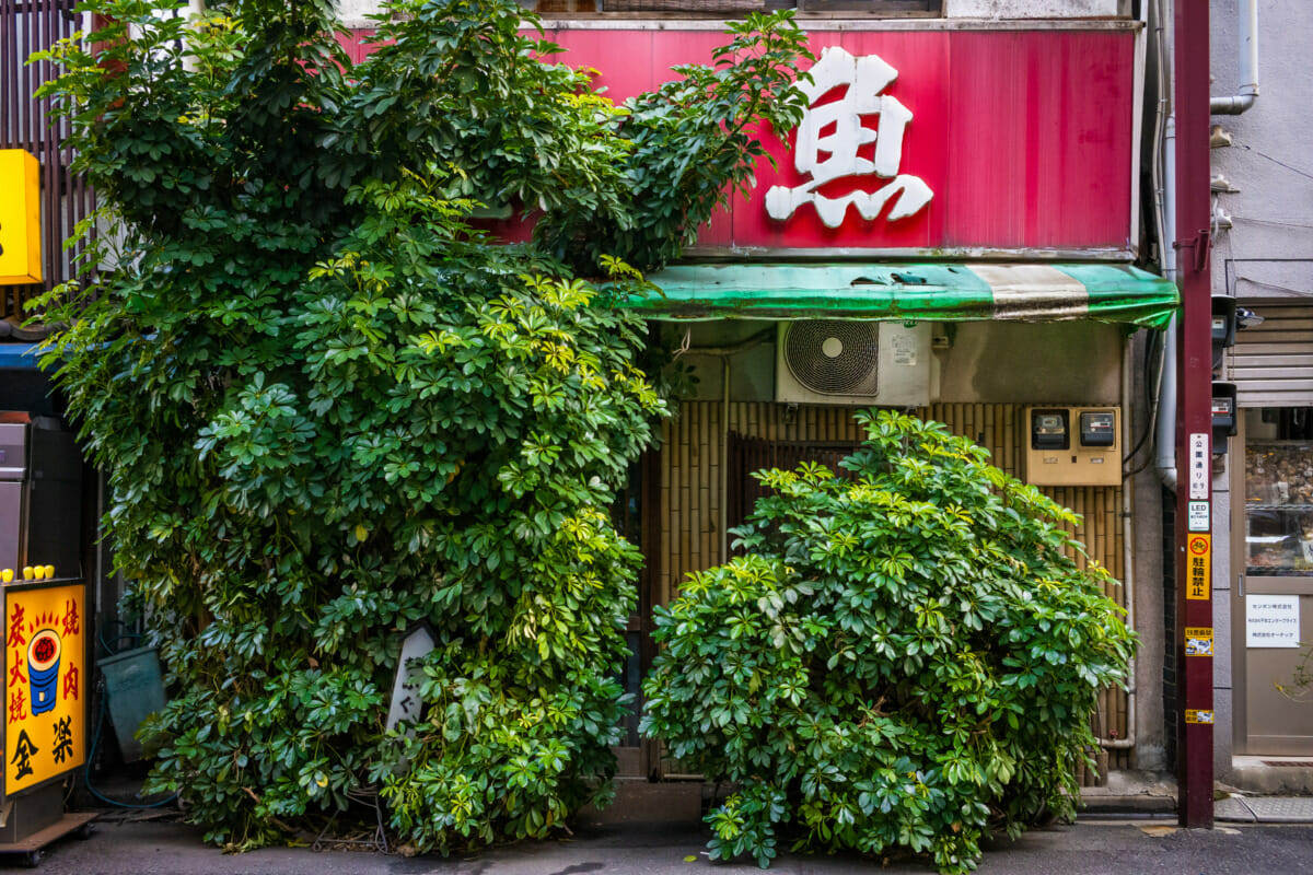 Beautifully overgrown Tokyo businesses