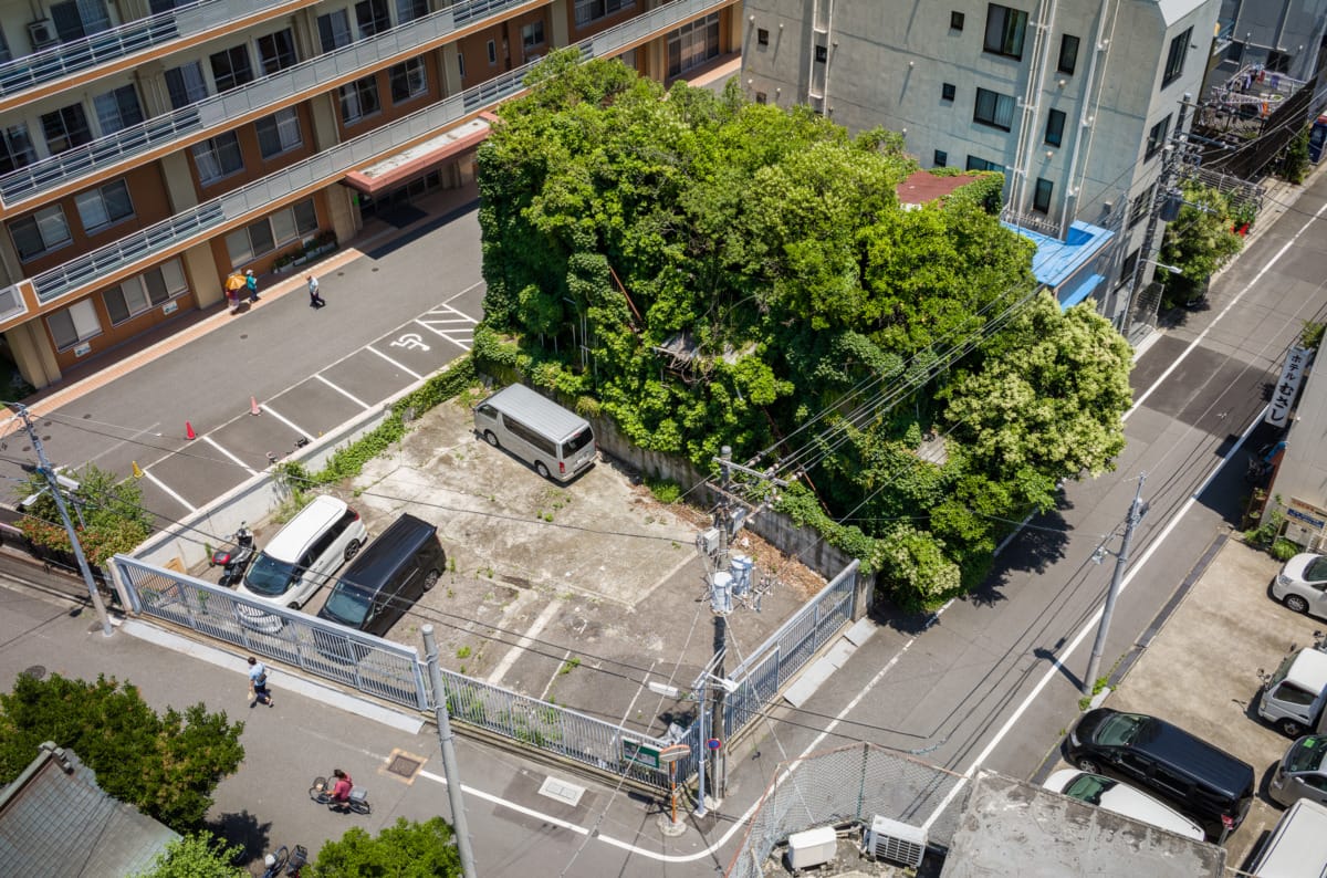 photos from Tokyo’s most overgrown hotel