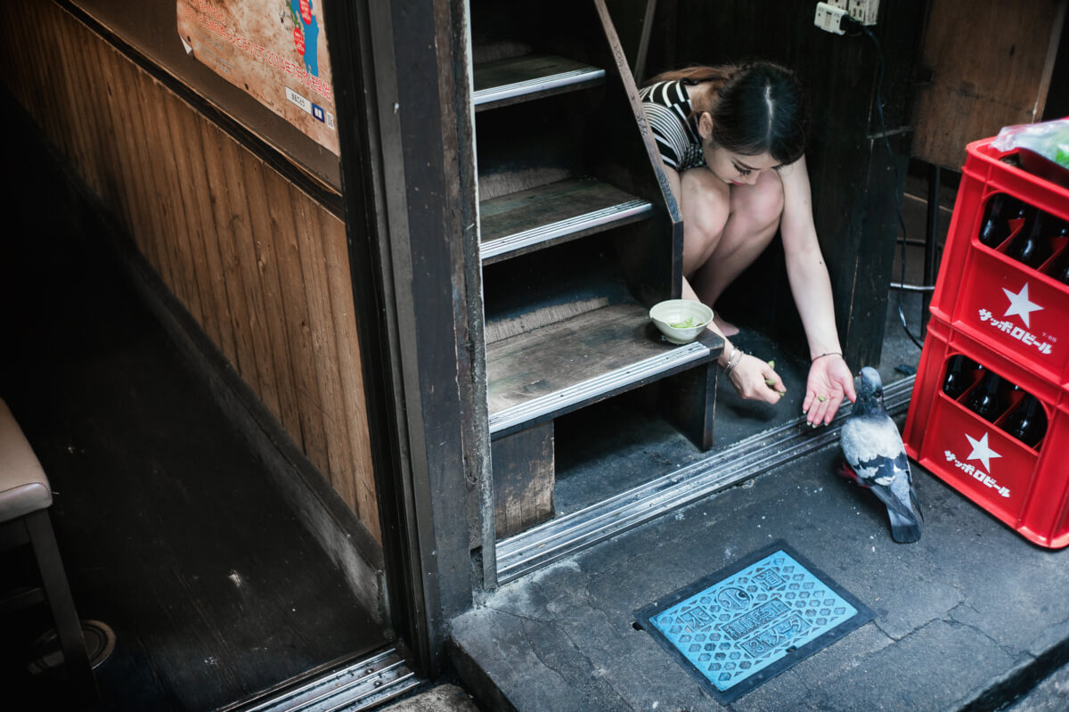 feeding a pigeon in a Tokyo alley