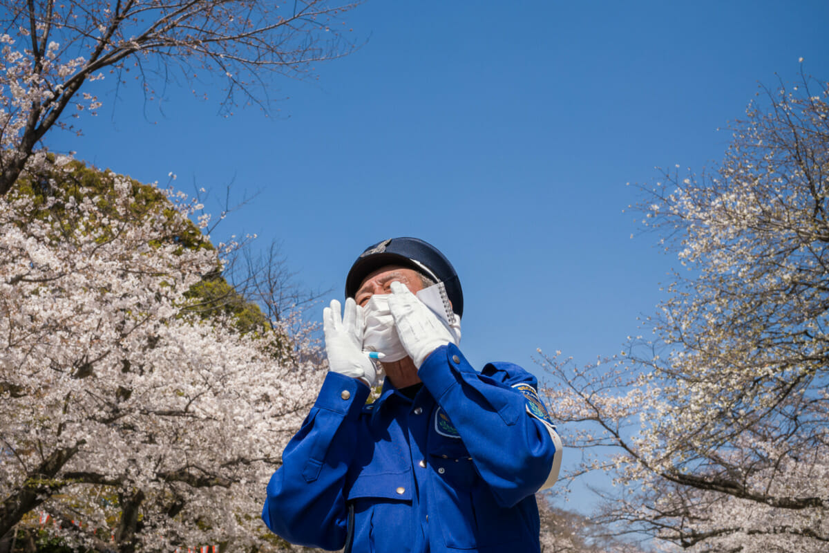 safety first Tokyo 2021 cherry blossom season