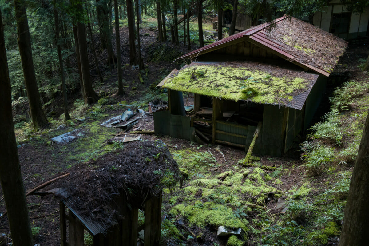 The silence and decay of an abandoned Japanese mountain village