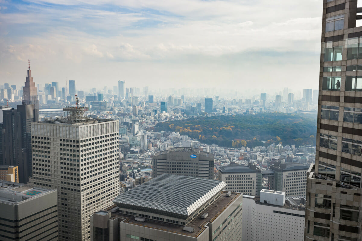 solitude the Pfizer sign and Tokyo's hazy skyline