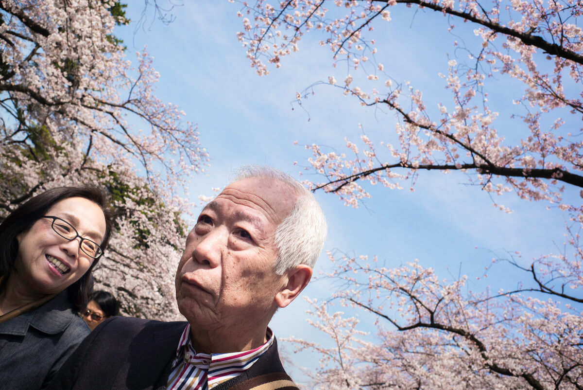 Tokyo cherry blossom faces