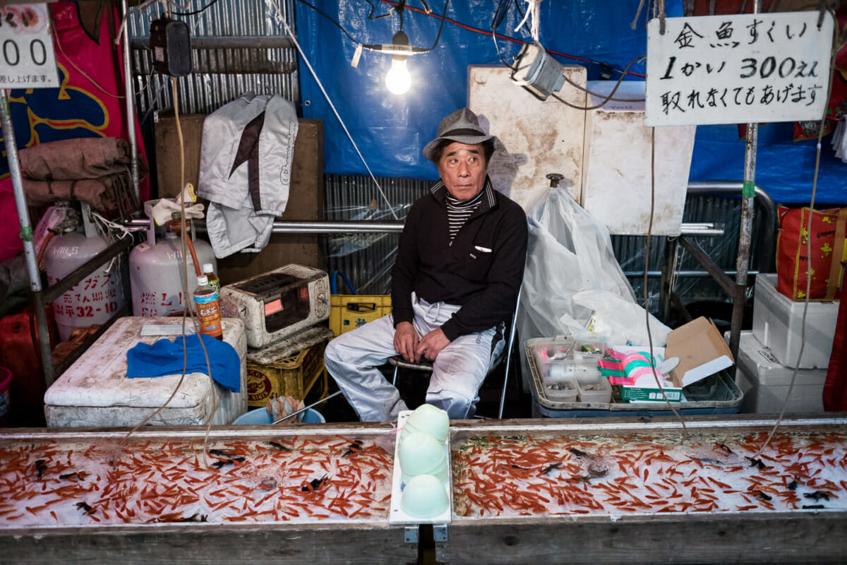 tokyo festival goldfish stall