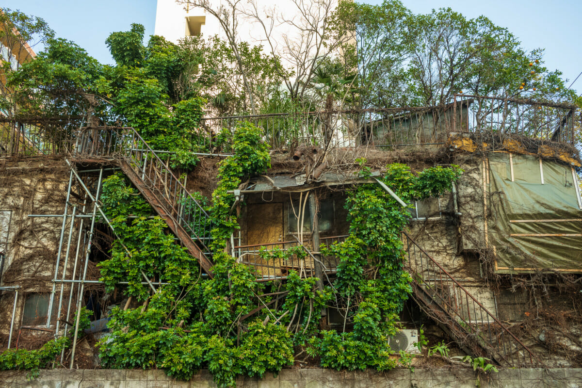 an incredibly overgrown old Tokyo hotel