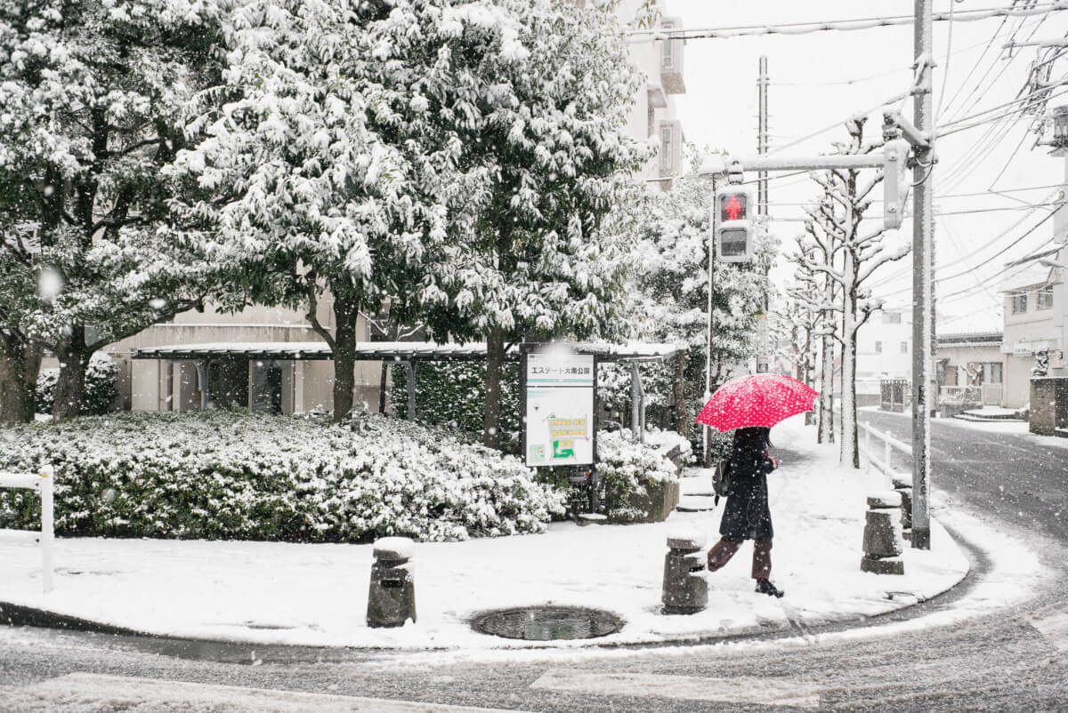 tokyo in the snow