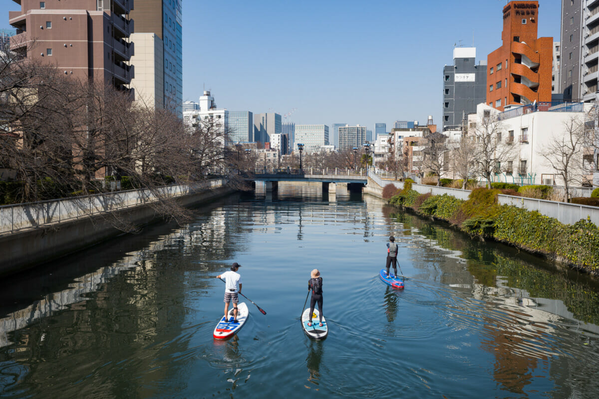 Japanese paddleboarders in Tokyo