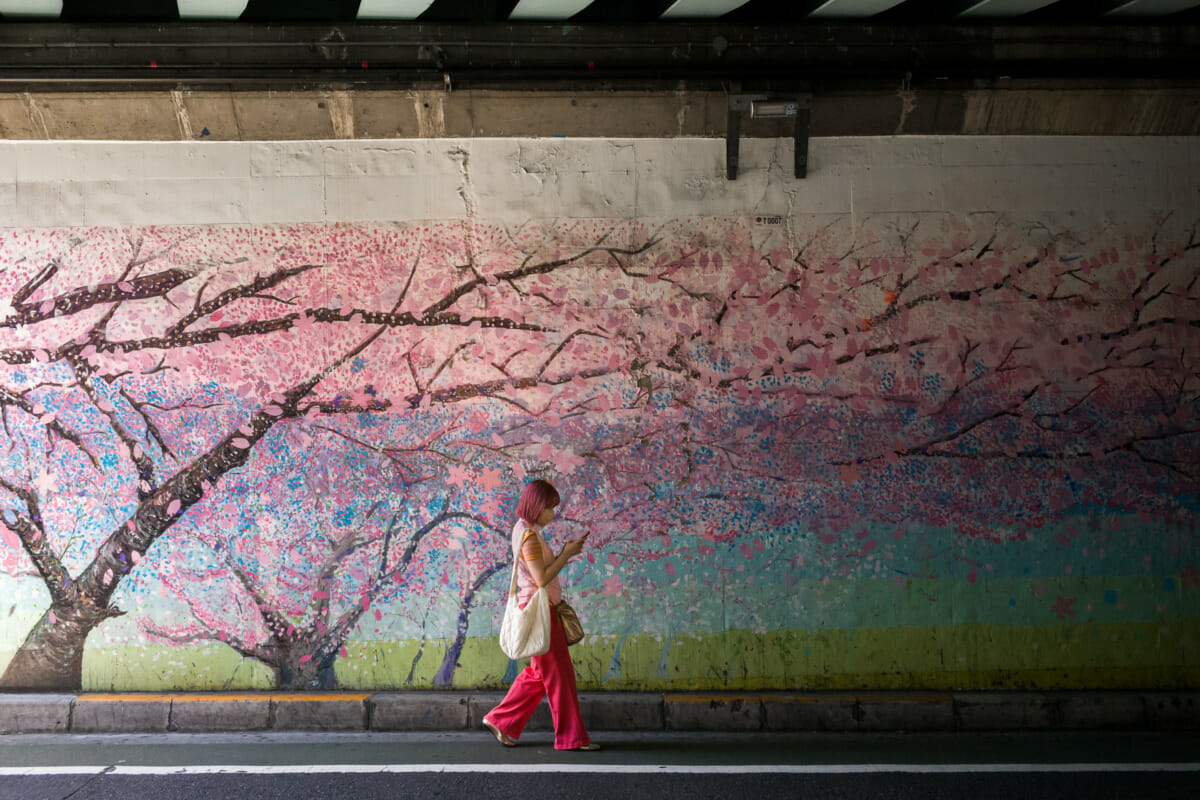 Tokyo summer and spring urban pinks