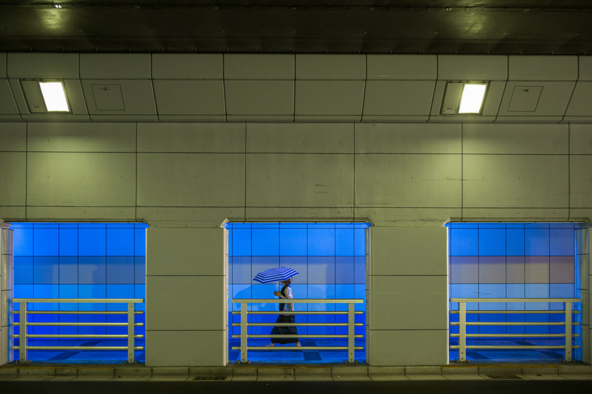 Tokyo underpass parasol blues