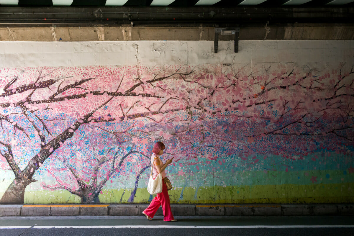 Urban Tokyo pinks
