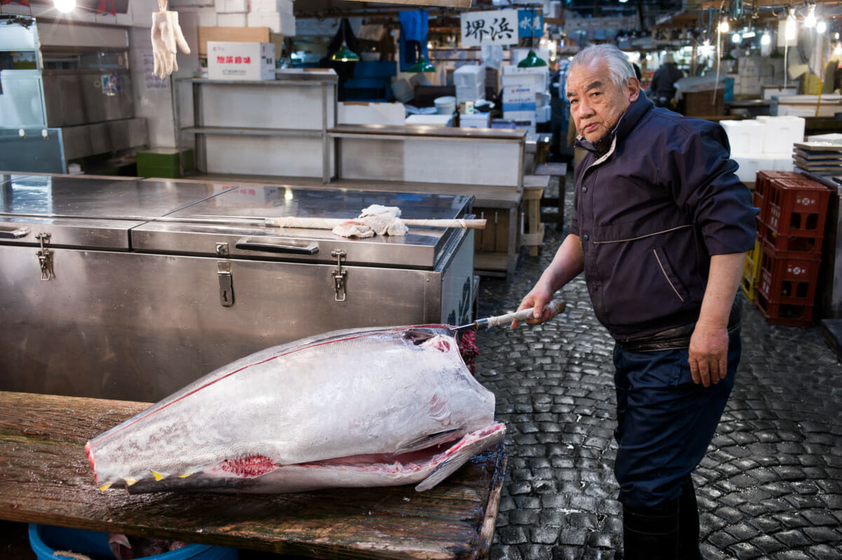 Tsukiji market tuna